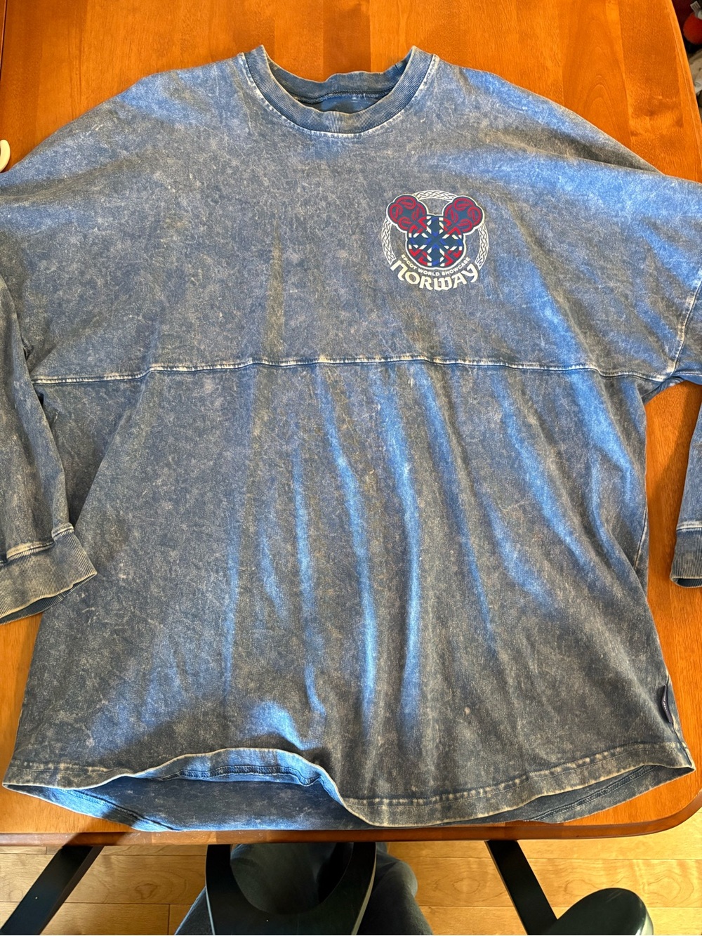 Disney Norway Graphic spirit jersey- Blue Wash
